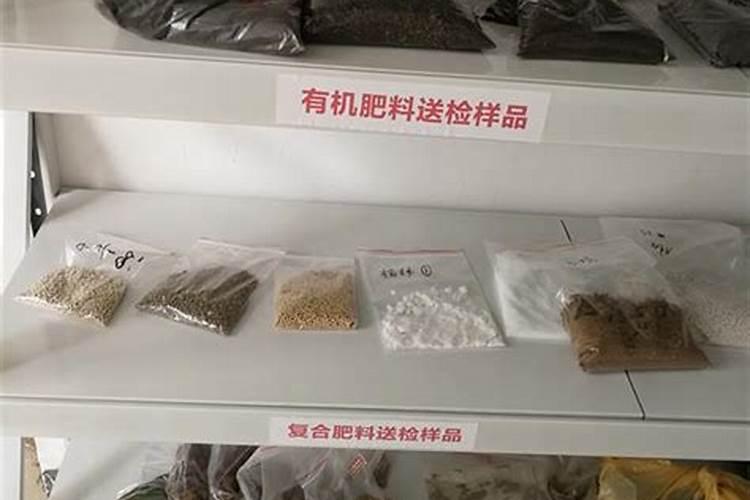 在番茄果实膨大期,应该怎样进行肥水的管理？