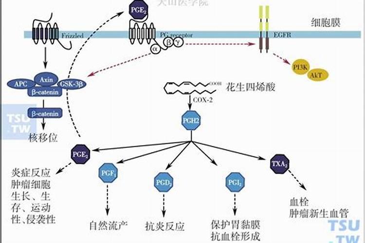 烯磷酸钾的四大害处