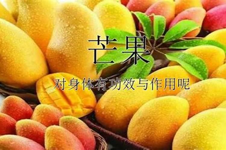 芒果树用什么肥料最好