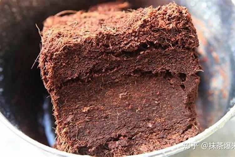 椰糠土种菜有什么功效？应该如何浇水施肥？