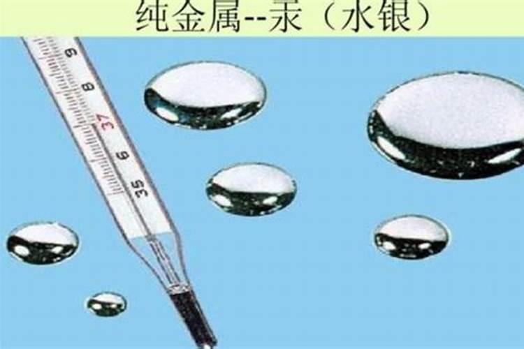 种植李子树,不同季节有不同的管理技术,6月份需要做好哪些工作？