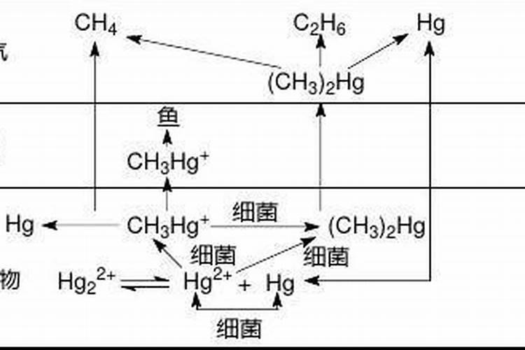 阳光玫瑰北方能种植吗