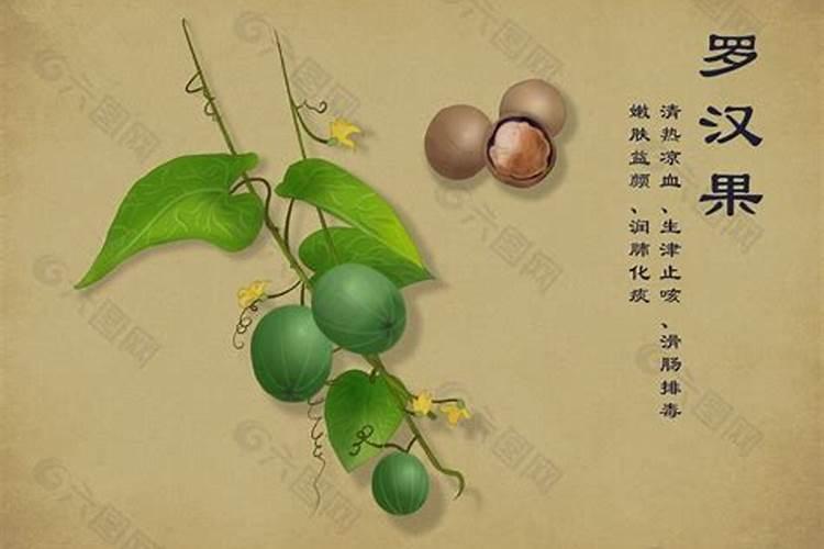 罗汉果有什么营养成分