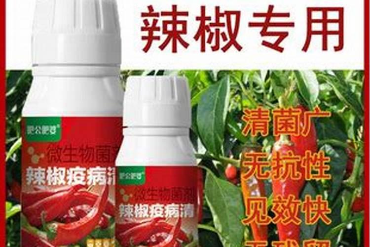 辣椒雨后打什么杀菌剂？百度问一问