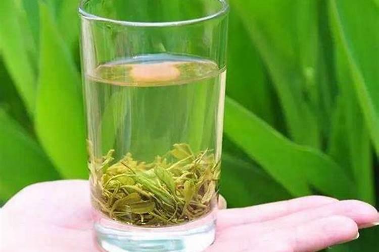 老白茶的功效？绿雪芽白茶饼普洱茶烘青和晒青的区别