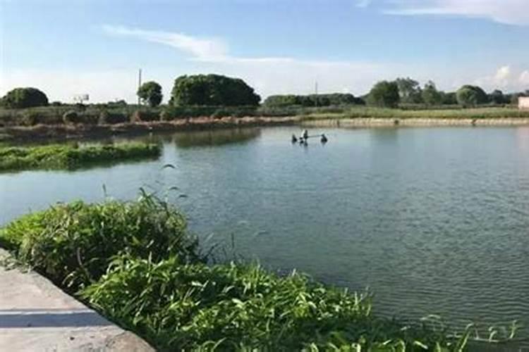 磷肥种花生怎么使用