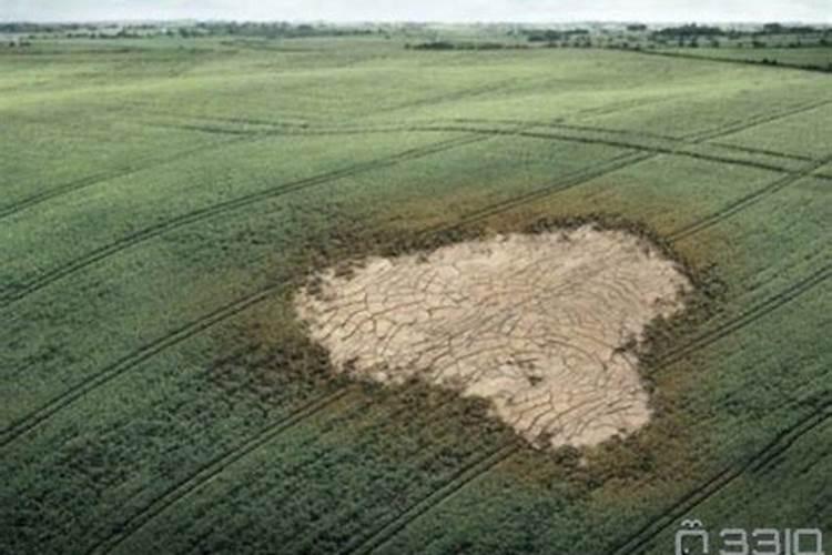 8月6日【常识午餐】