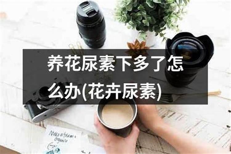 花卉可以施尿素吗