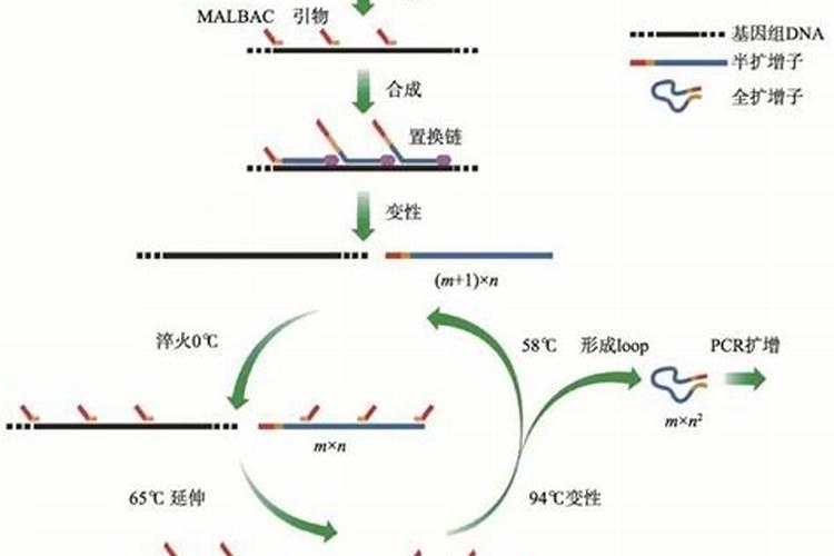 槟榔上需要用鱼蛋白吗？