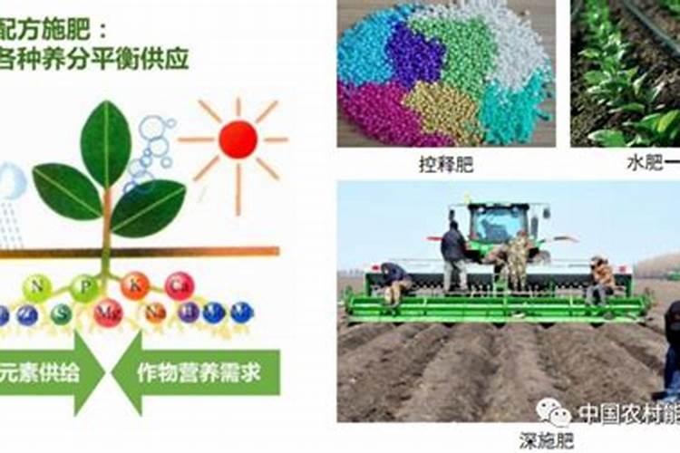 水溶肥三个字的商品名字有哪些