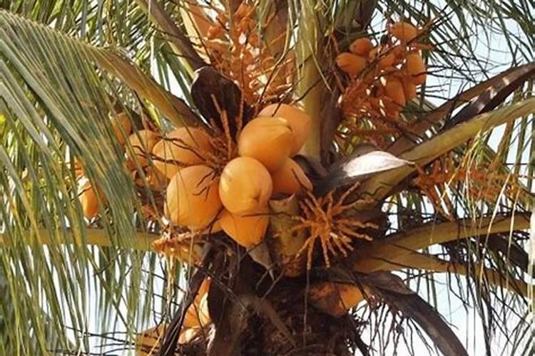 烹饪方法总共有多少种？
