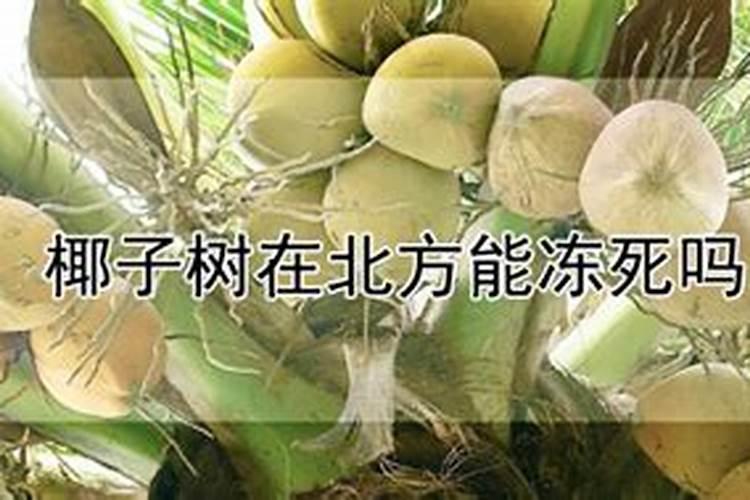 细胞工程的应用