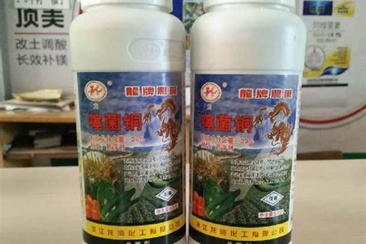 新栽柑橘幼苗怎么施肥 新栽柑橘幼苗如何施肥