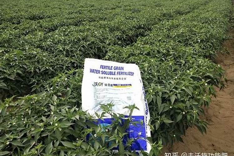 营养液可以给哪些花用