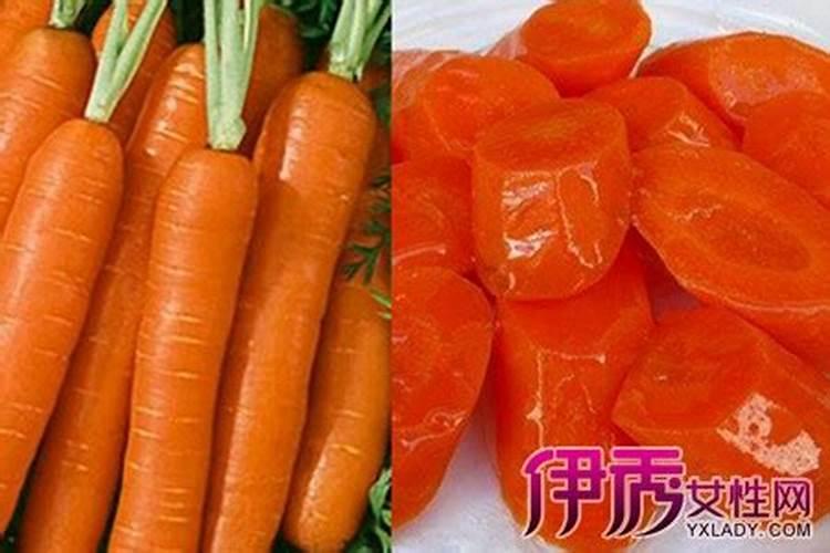 稻田适合种红萝卜吗