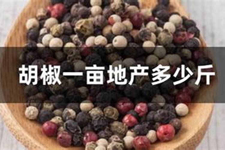 花椒种植技术与管理技巧简介 花椒养护方法