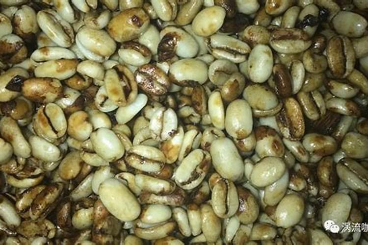 为什么要在阳台种豆？年年可持续收豆还可以肥土？阳台自种食物实用技巧分...