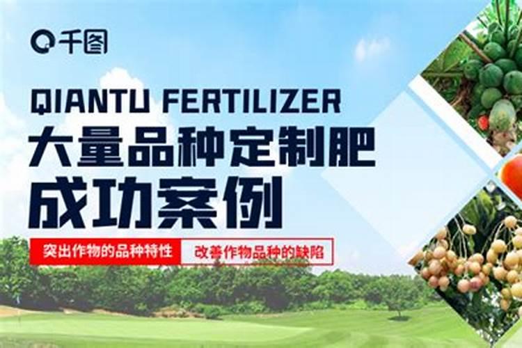 兰花用什么肥料最好