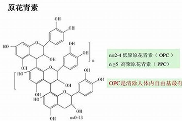 为什么我的猪笼草长黑斑啊？