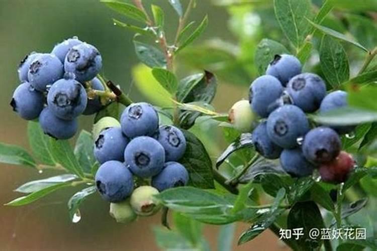 水稻田施肥后几天能排水