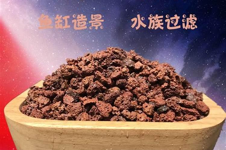 兰草要什么土壤