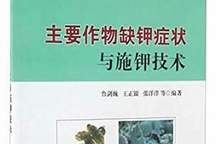 包地种什么最挣钱