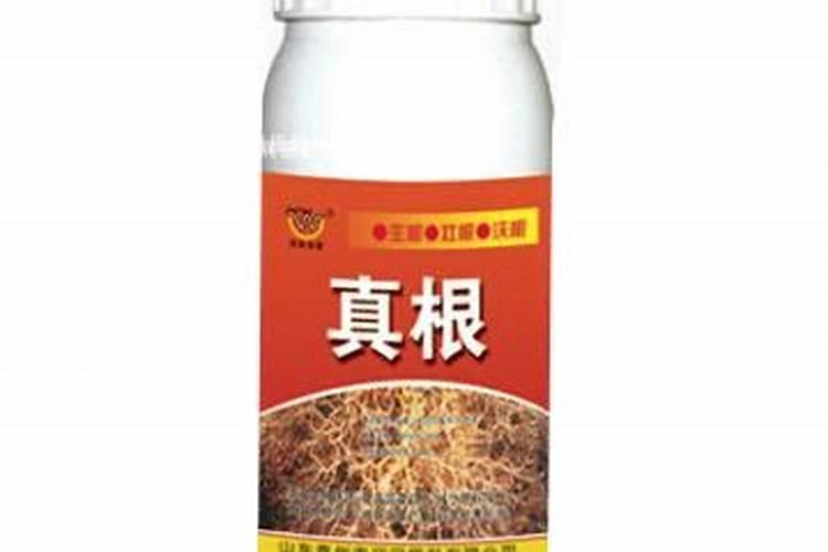 哪些情况需要打叶面肥？叶面肥什么时间用好呢？