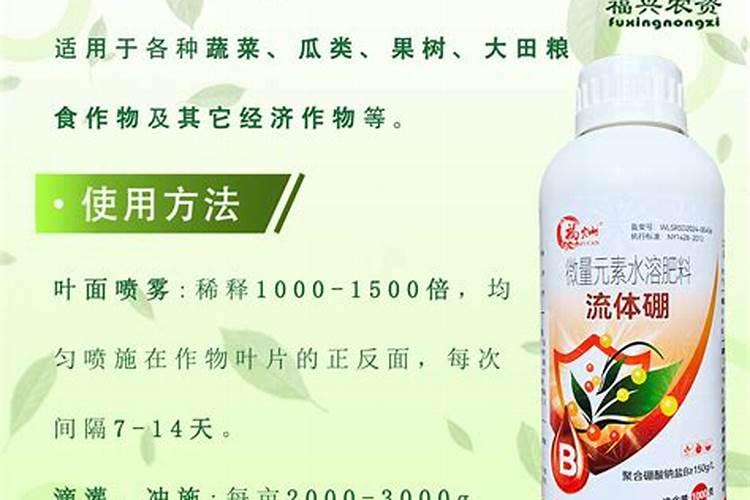 葡萄开花怎么处理,怎么人工授粉