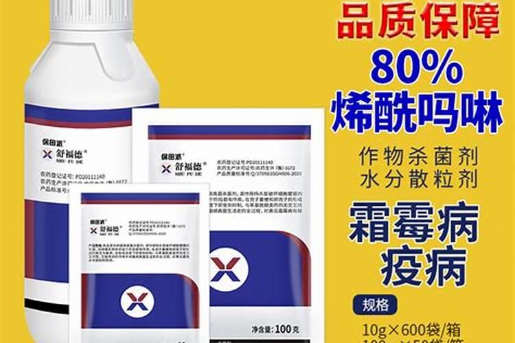 被称为“辣椒皇后”的朝天椒,平时应该如何预防病害呢？