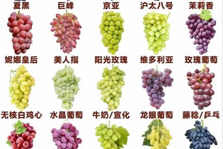 葡萄着色期施什么肥