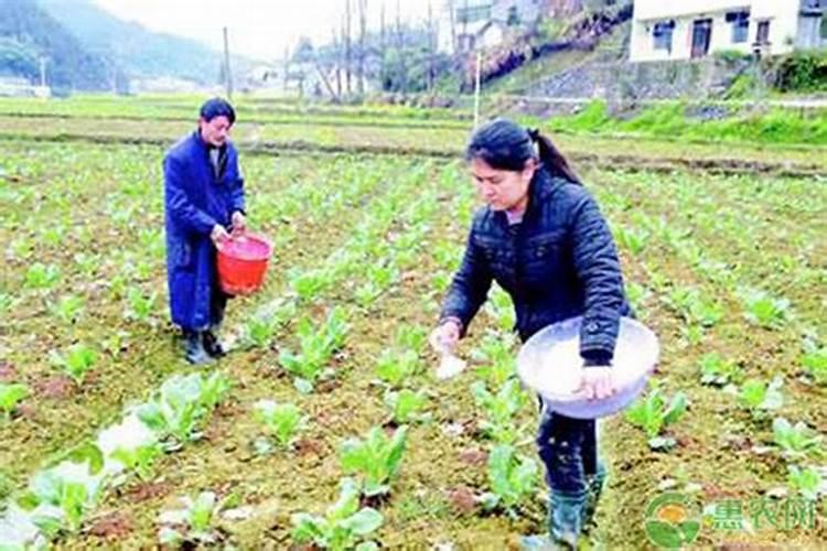 作物施肥量怎样估算？