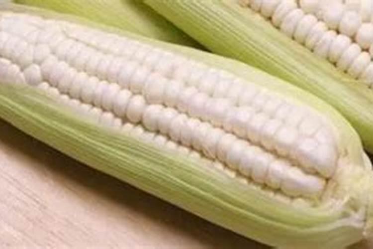 玉米什么时间追笫二次肥