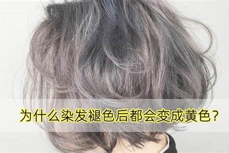 家里养花需要什么肥料