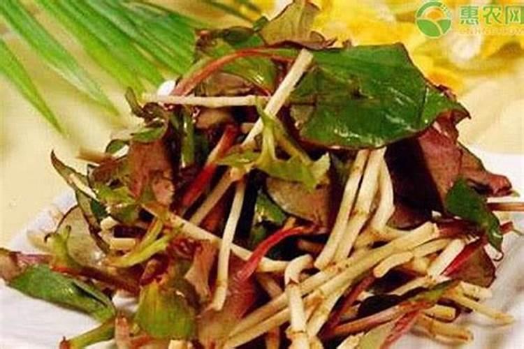 种植鱼腥草用什么肥最好？