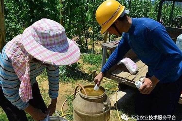 亚磷酸钾能和微量元素混用吗(亚磷酸钾复配使用禁忌)