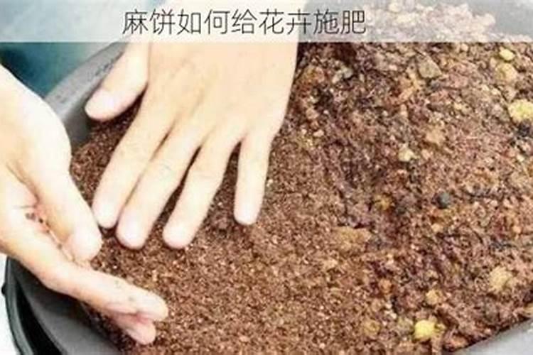 植物油可以当肥料吗？