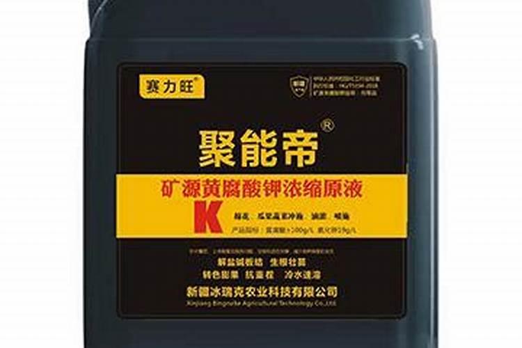 水培文竹自制营养液方法怎么制作水培文竹营养液