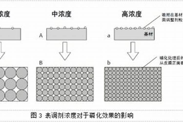 四季葱用什么肥长得快