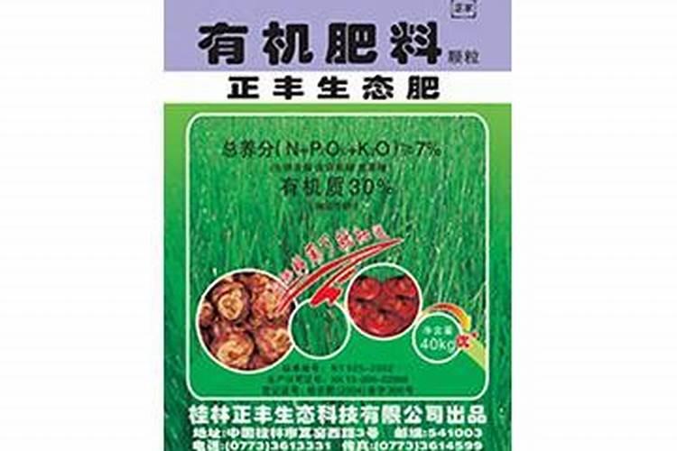 “文竹”总怕养不好？没那么难,施肥做得好文竹也能绿油油!