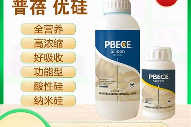 硅肥什么时候施最佳