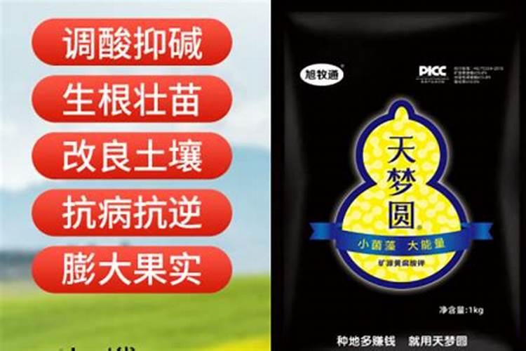 钾肥价格多少钱一吨
