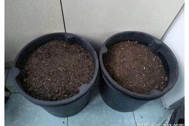 番茄第一次追肥用什么肥最好