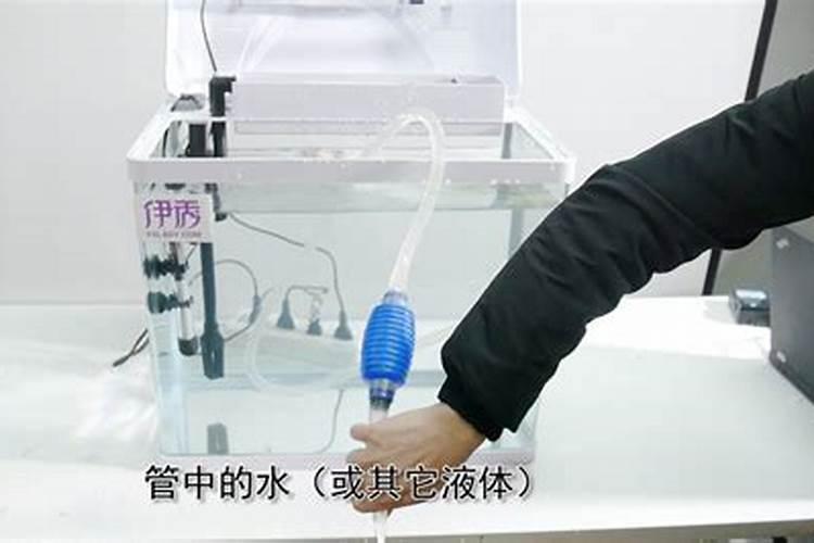 家里鱼腥味怎么去除