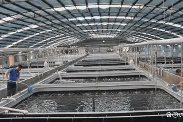 麻烦各位问一下,甜瓜移栽定植时,定植水里加入什么生根剂效果比较好？