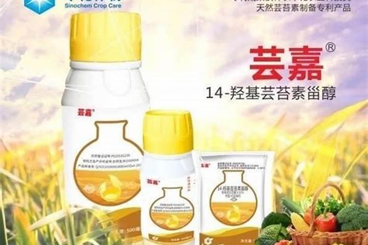 氧化镁什么用途