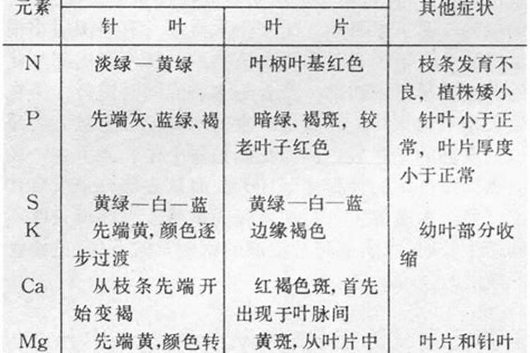 吃什么水果补钾效果好