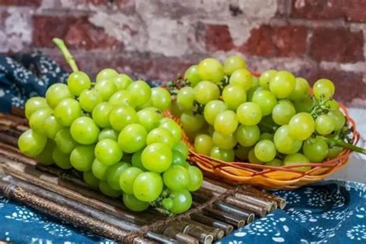 种植阳光玫瑰葡萄时,需要施什么肥呢？