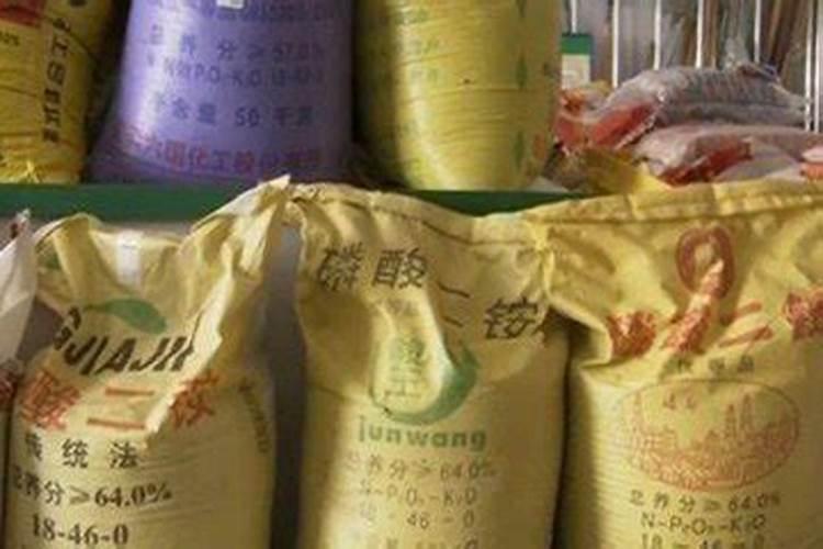 养花需要什么肥料