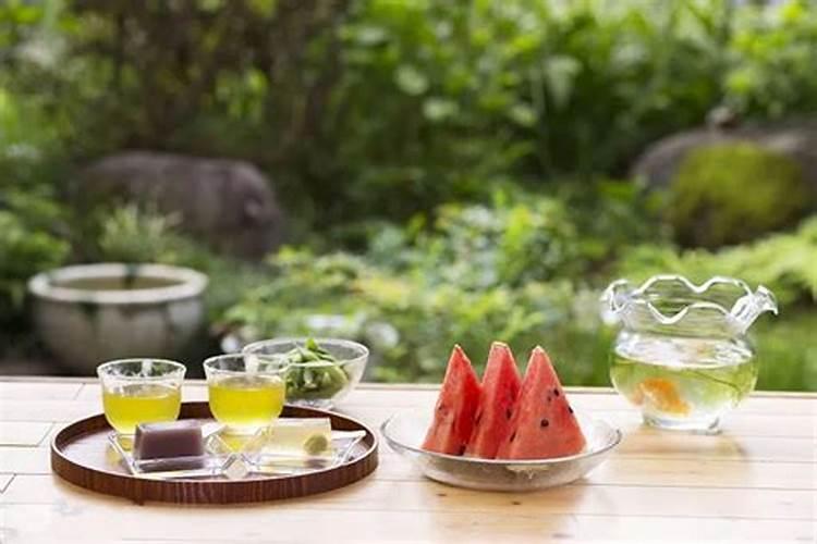 三伏天怎么养兰花越夏更安全