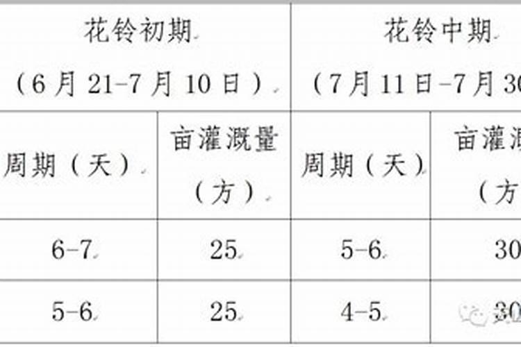 棉花花铃期施肥管理 使用什么肥料好